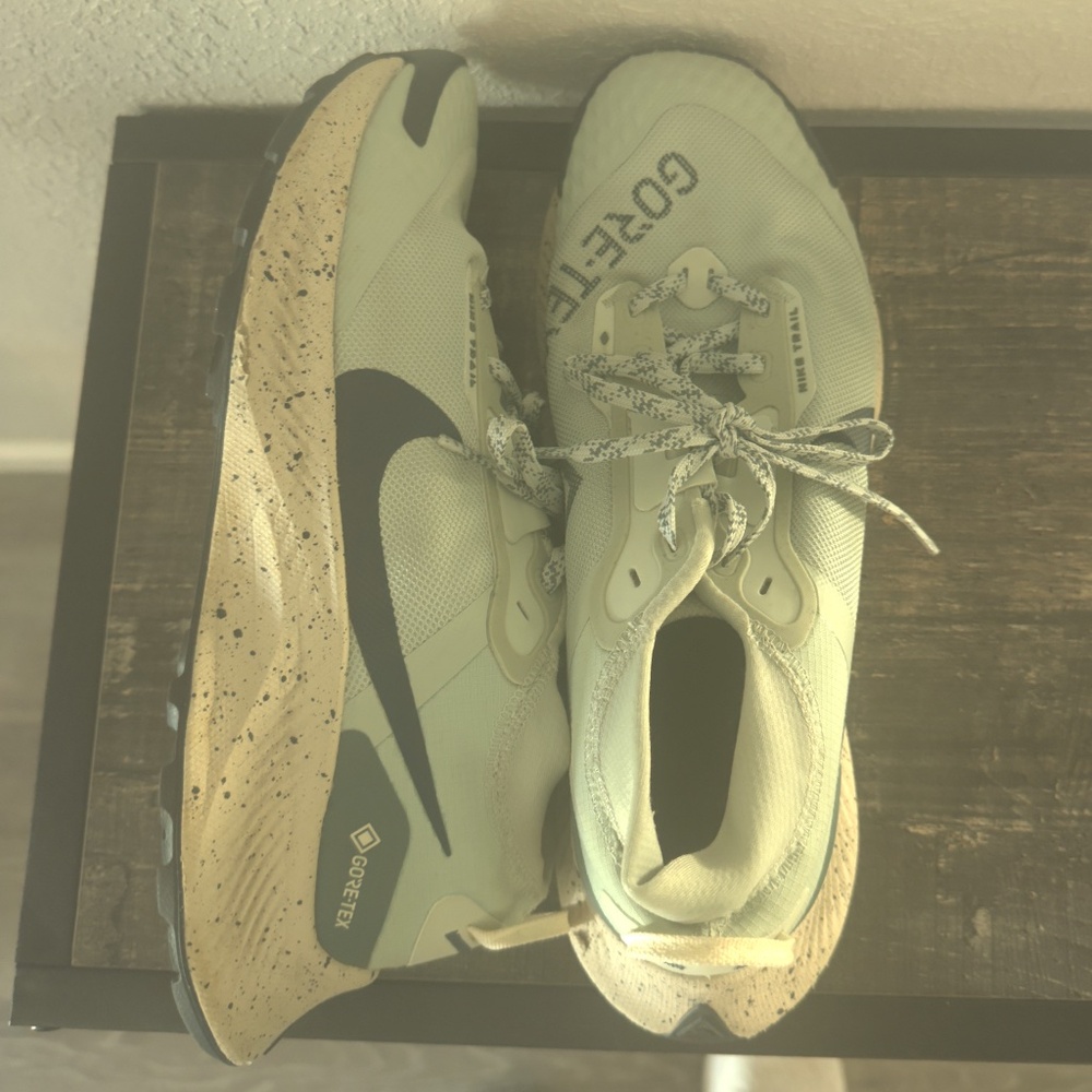 Nike Gore-tex running shoe